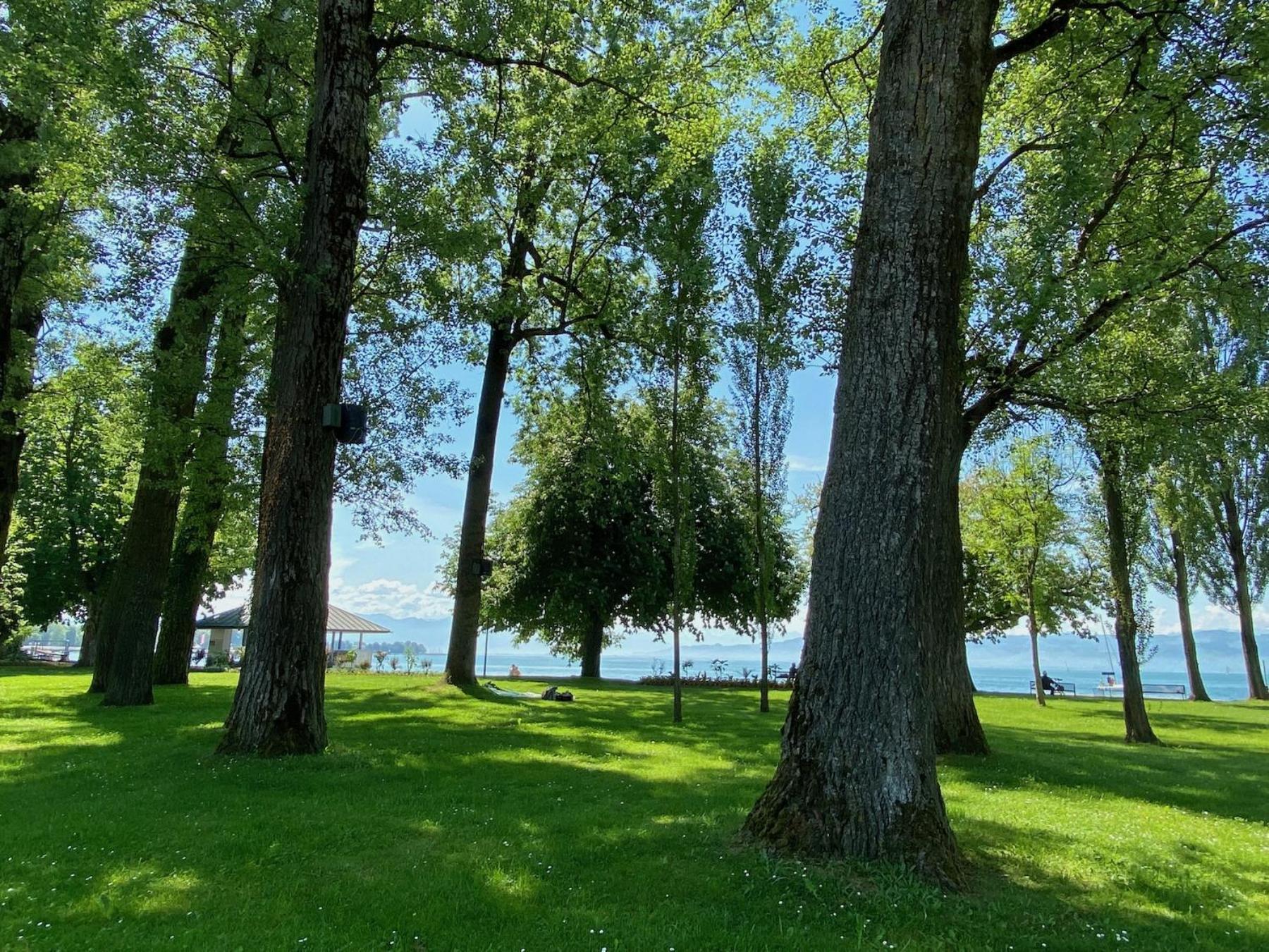 Ferienwohnung Fischerpromenade Kressbronn am Bodensee Exterior foto